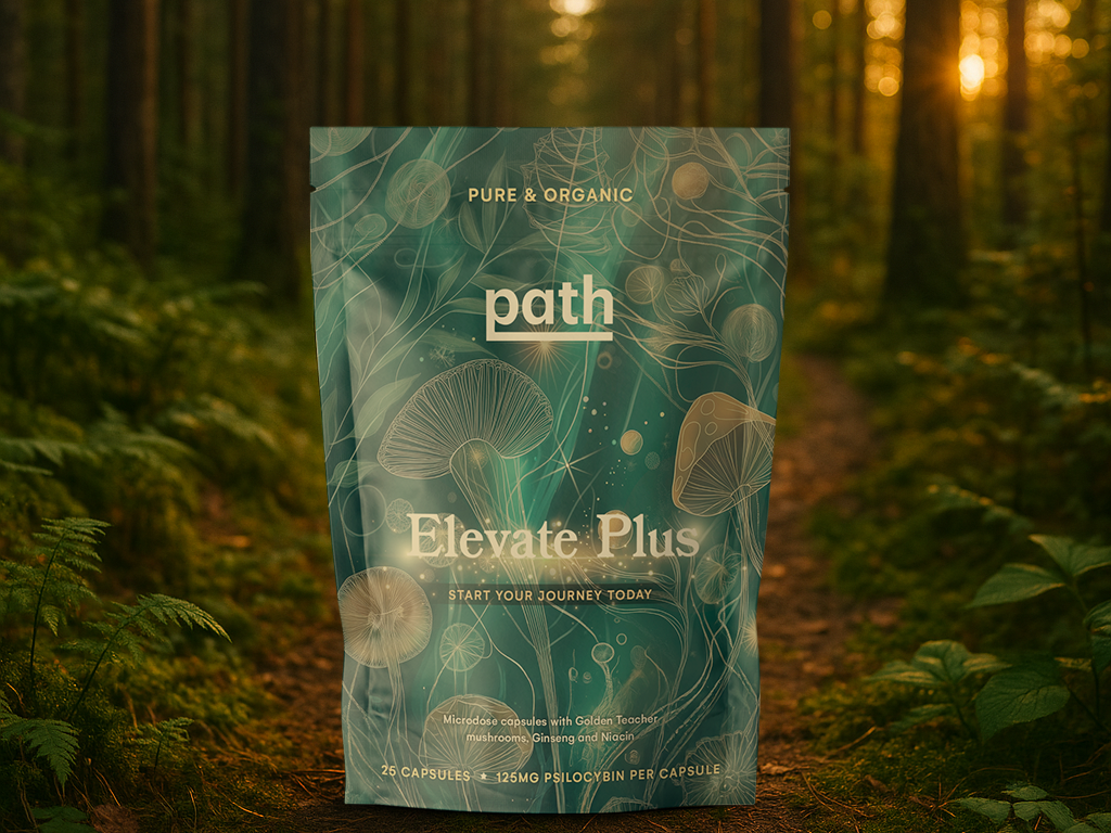 Start your mushroom wellness path today
