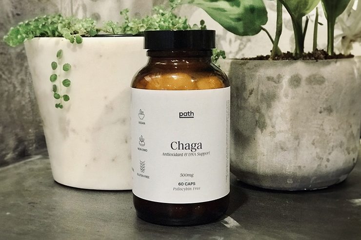 chaga mushroom capsules